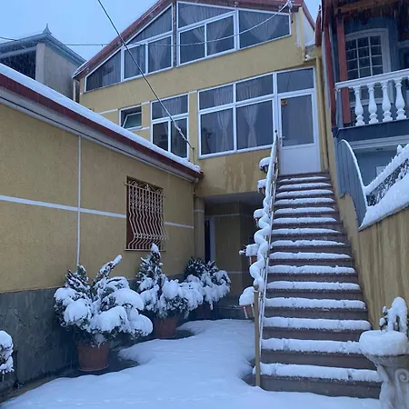 Bujtina Vasili Otel