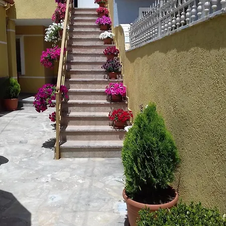 Bujtina Vasili 3* Korce